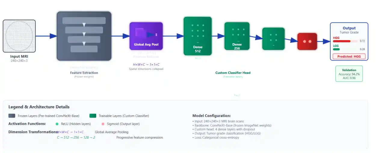 ConvNext-Base Model Architecture diagram showing layers from Input MRI to Output Tumor Grade