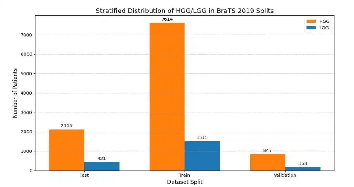 Bar chart showing Stratified Distribution of HGG/LGG in BraTS 2019 Splits