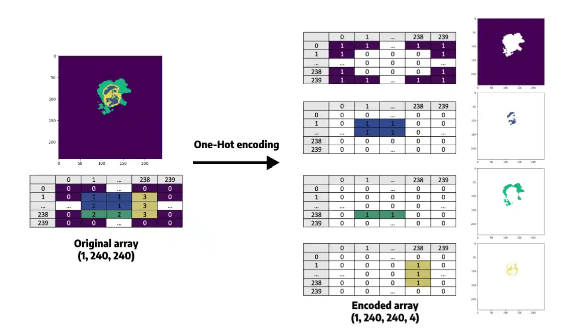 Diagram showing conversion of an Original Array of 1x240x240 into a One-Hot Encoded array of 1x240x240x4